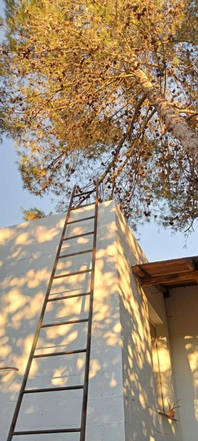 La Bodega De Villa Bella Espartinas Ngoại thất bức ảnh